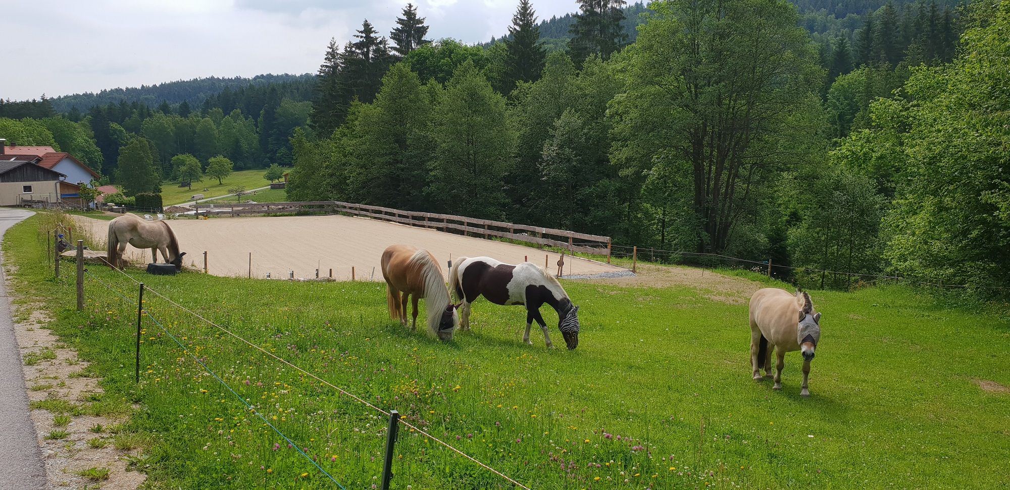 Kjelli´s Reiterhof