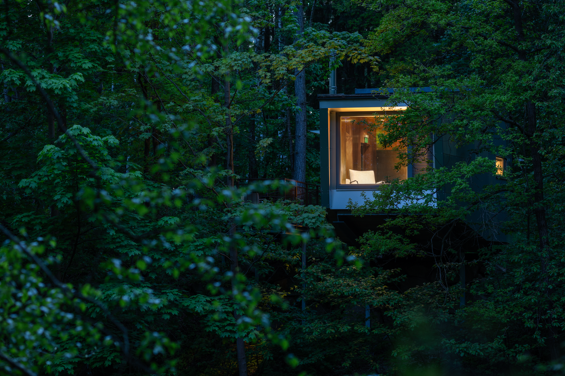 Ein beleuchtetes Baumhaus in einem dichten Wald bei Dämmerung.
