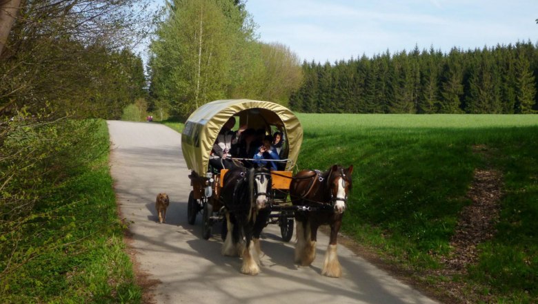 Kutschenfahrt mit Birgit, © Ponyhof Holzmühle Birgit Taxböck