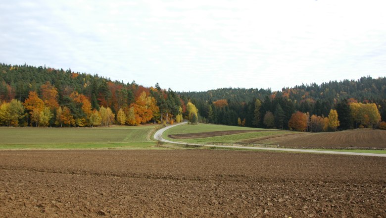 Herbst in Moorbad Harbach, © Karl Haumer