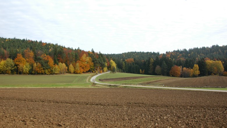 Herbst in Moorbad Harbach, © Karl Haumer