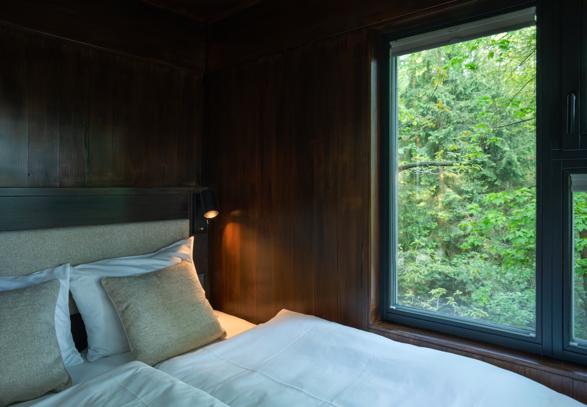 Innenansicht eines Baumhauses mit einem Bett und einem Fenster mit Blick auf den Wald.