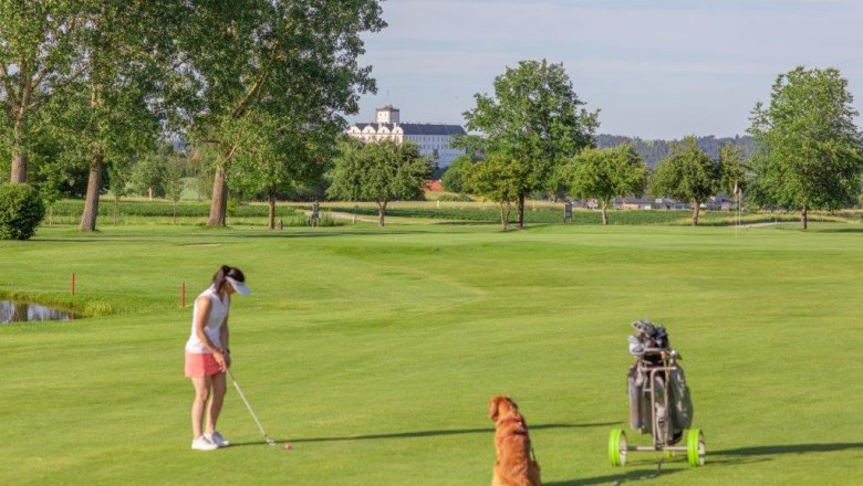 Golferin mit Hund auf gr&uuml;nem Golfplatz, B&auml;ume und Geb&auml;ude im Hintergrund.
