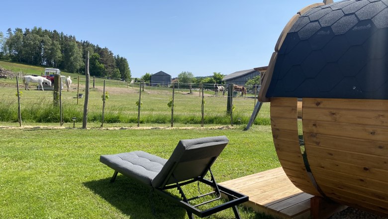 Blick auf die Koppel &uuml;ber die Terasse, &copy; Andreas Artner