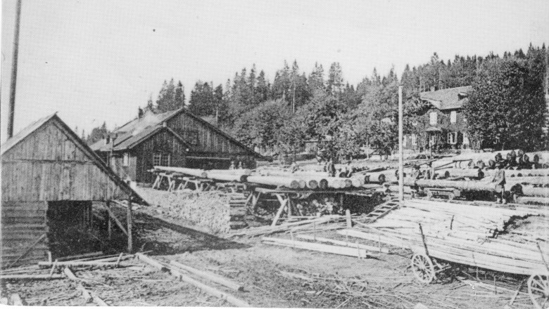 Schwarzau Dampf-Sägewerk, © Erwin Weber