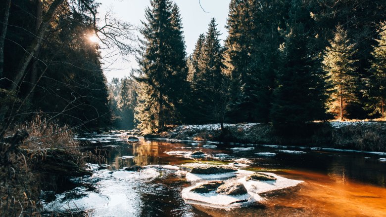 Ein winterlicher Fluss im Waldviertel mit vereisten Steinen und von Sonnenlicht durchfluteten Tannen.