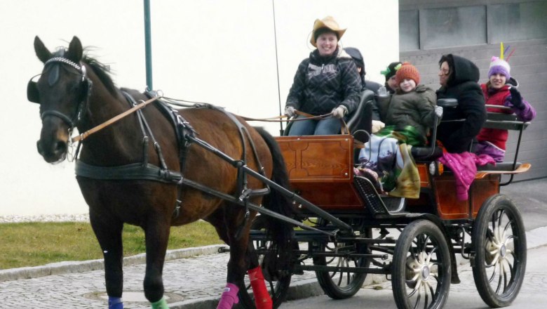 Kutschenfahrt mit Julia, © Reiterlebnis Moorbad Harbach, Julia Altmann