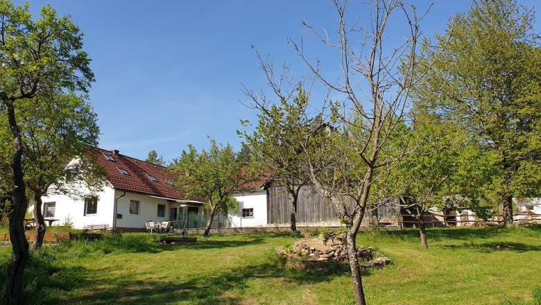 Die Alm/Hof, &copy; Die Alm in Sch&ouml;llb&uuml;chl, Stefanie Reisenberger