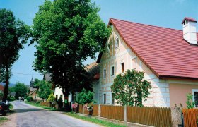 Stra&szlig;e mit traditionellen H&auml;usern und B&auml;umen in einer l&auml;ndlichen Umgebung.