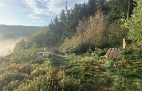 Herbst in Moorbad Harbach, &copy; Martina Langgutt