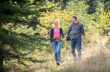 Wandern in Moorbad Harbach, © Foto Freitag