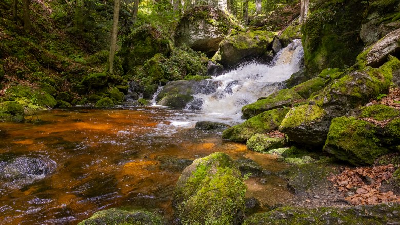 Ein kleiner Wasserfall in einem bewaldeten Gebiet mit moosbedeckten Felsen und klarem Wasser.