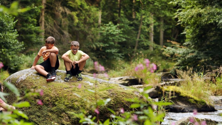 Zwei Jungen sitzen auf einem moosbedeckten Felsen in einem Wald.