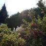 Garten, &copy; Regina Petric