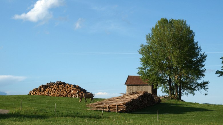 Landschaft, © Tourismusverein Moorbad Harbach, Hnilicka