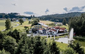 Landschaft mit Gebäuden, Teich und Wald im Hintergrund.