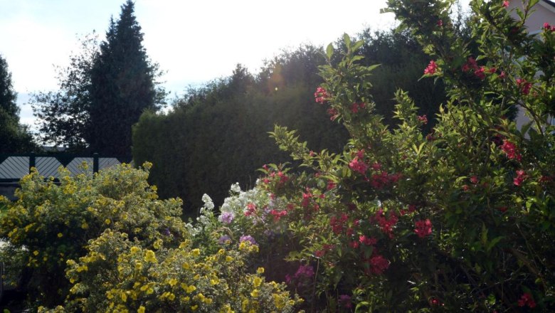 Garten, &copy; Regina Petric