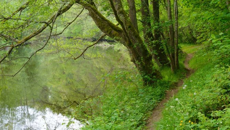 Ein schmaler Pfad führt entlang eines ruhigen Flusses, umgeben von üppigem Grün und Bäumen.
