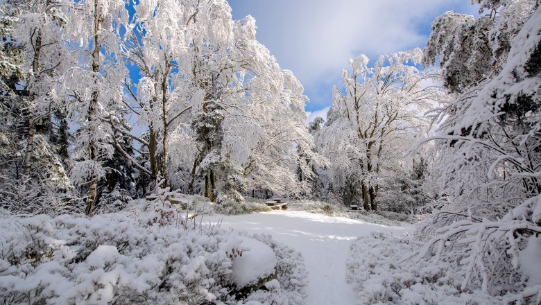 Mandelstein im Winter, © Foto Freitag