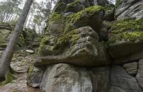 Moosbedeckte Felsformationen im Wald bei Gro&szlig; Sch&ouml;nau.
