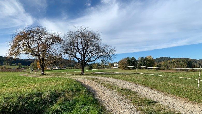 Hoidaweg, © Martina Langgutt