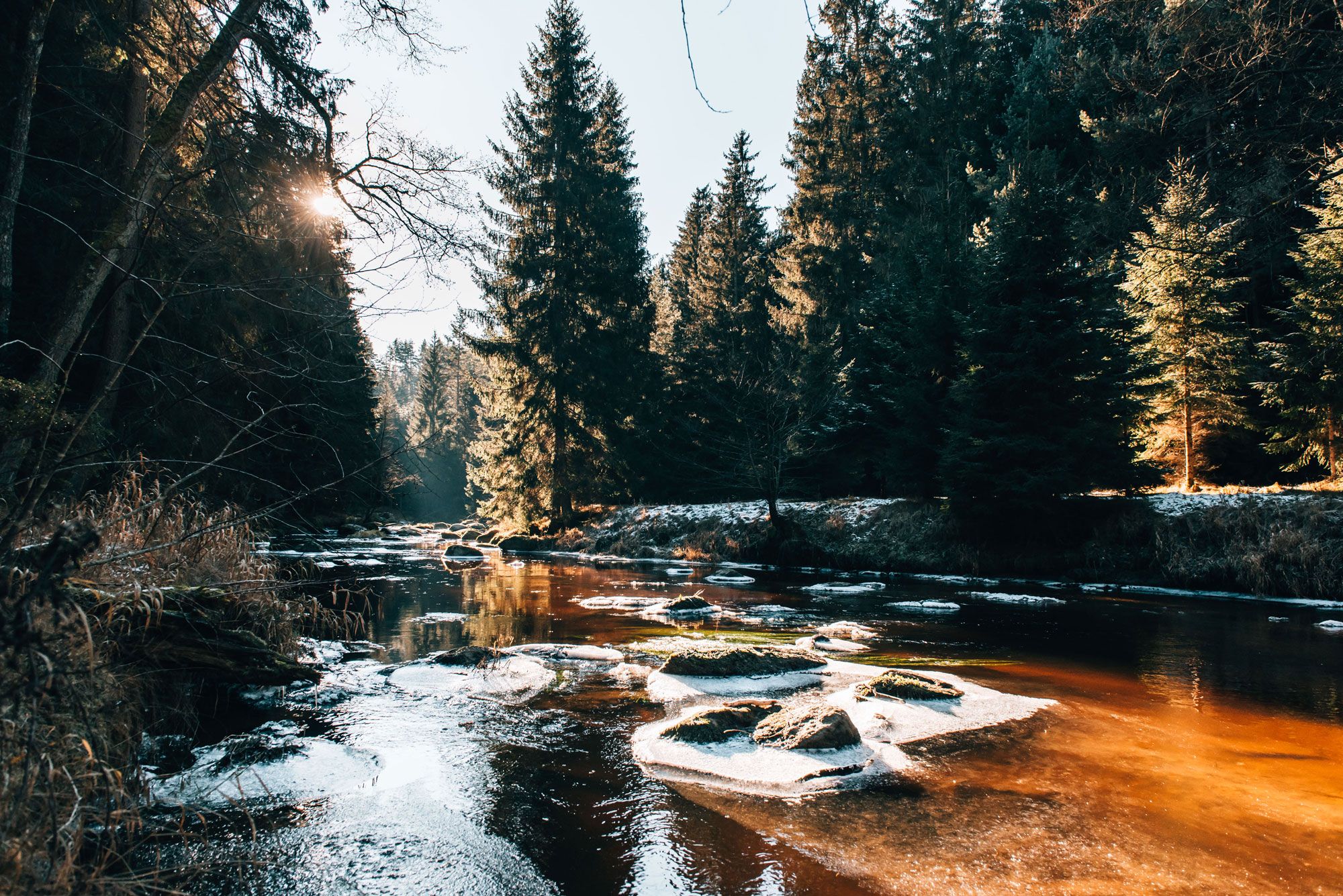 Ein winterlicher Fluss im Waldviertel mit vereisten Steinen und von Sonnenlicht durchfluteten Tannen.