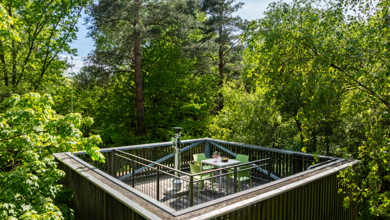 Baumhaus mit Terrasse in einem Wald.