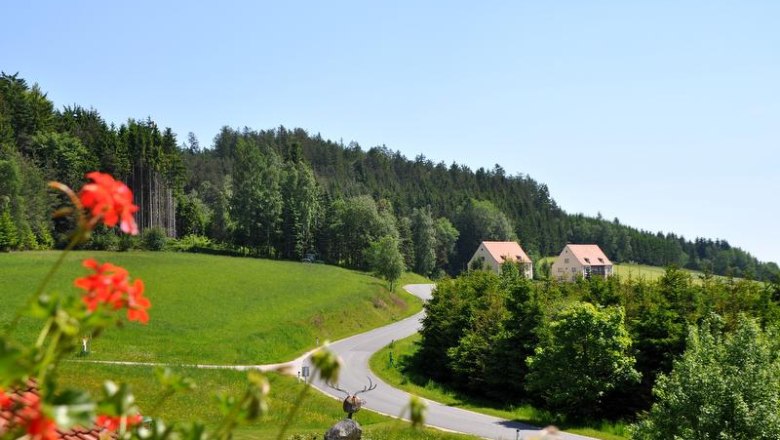 Landschaft mit gr&uuml;nen Feldern, einer kurvigen Stra&szlig;e und zwei H&auml;usern im Hintergrund.