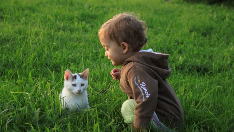 Unsere Katzen freuen sich aufs Spielen und Streicheln, &copy; Anderlhof