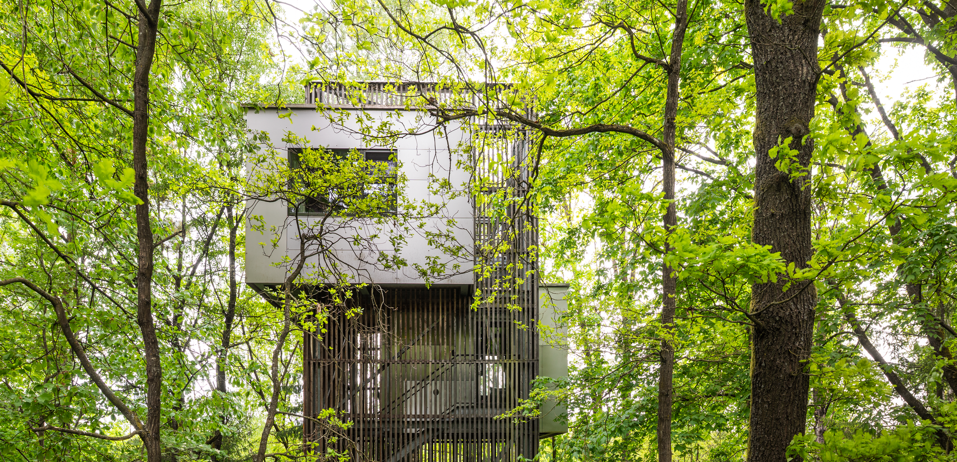 Modernes Baumhaus in einem dichten Wald, umgeben von grünen Blättern.