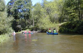 Menschen paddeln in Kanus auf einem Fluss, umgeben von B&auml;umen.