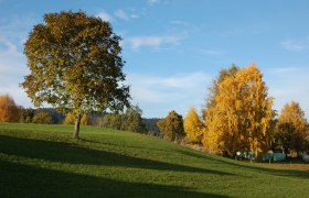 Herbst in Moorbad Harbach, © Karl Haumer