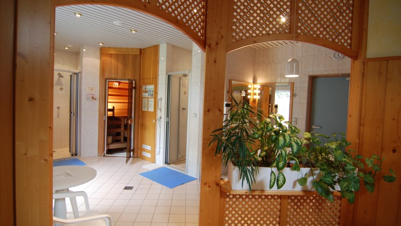 Innenansicht eines Wellnessbereichs mit Sauna, Pflanzen und Sitzbereich.