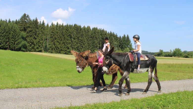 Eselreiten, © Ponyhof Holzmühle