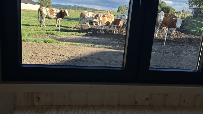 Aussicht aus dem Tiny Haus, &copy; Familie Klein