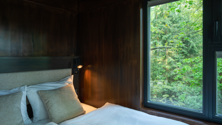 Innenansicht eines Baumhauses mit einem Bett und einem Fenster mit Blick auf den Wald.