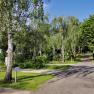 Ein Weg f&uuml;hrt durch einen gr&uuml;nen Park mit Birken und anderen B&auml;umen unter blauem Himmel.