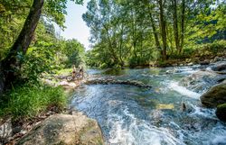 Die sanften Wellen des glitzernden Wassers laden zu einer erfrischenden Pause ein, während die üppigen Bäume Schatten spenden. Radfahrer genießen die malerische Kulisse und die frische Luft, die den Sommer in den Bergen so besonders macht.