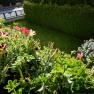 Garten, &copy; Regina Petric