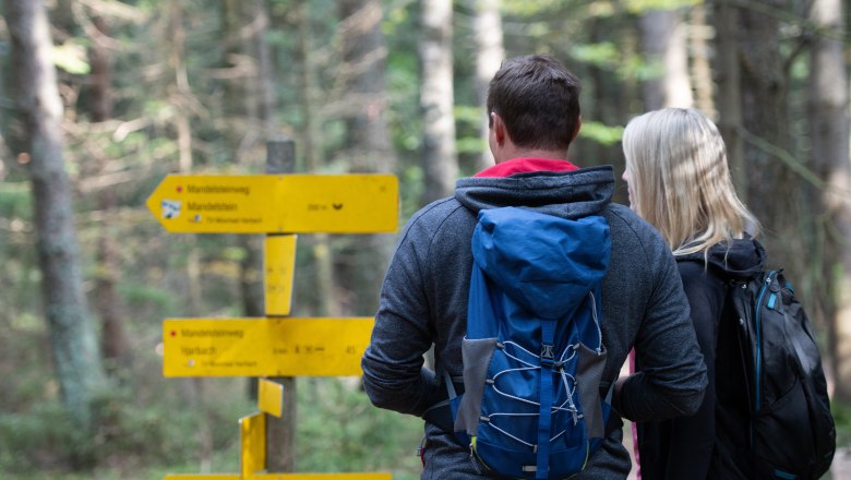 Wandern in Moorbad Harbach, © Foto Freitag