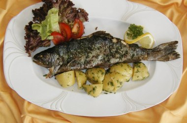 Kräuterforelle, © Pension Nordwald