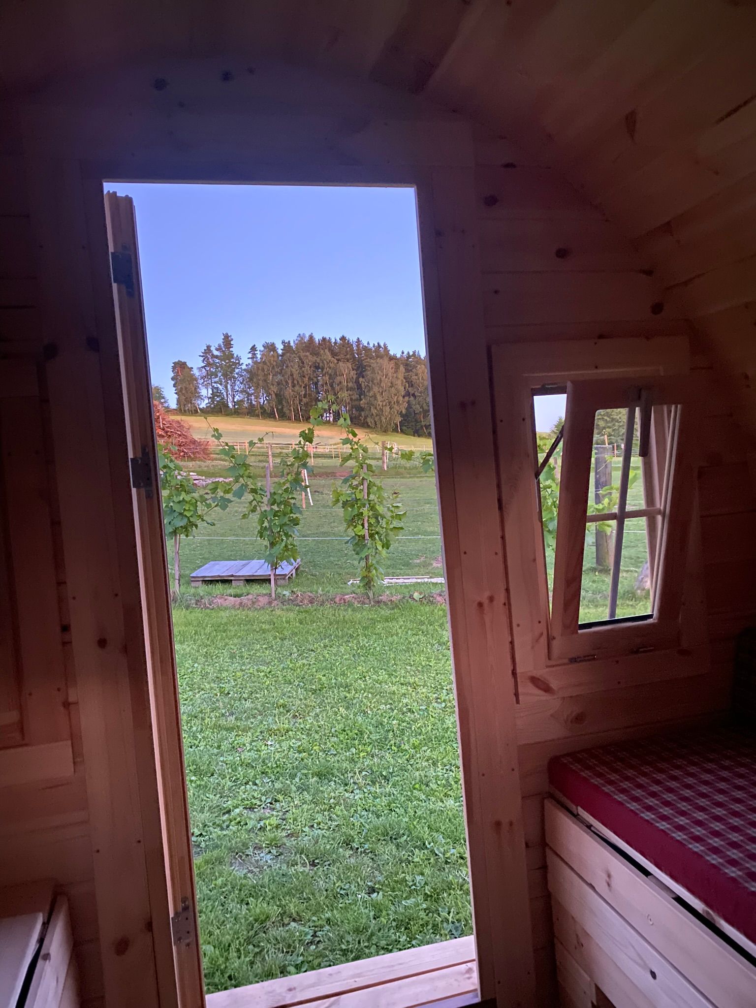 Blick aus einer Holzhütte auf eine grüne Wiese mit Bäumen im Hintergrund.