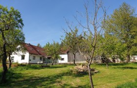 Die Alm/Hof, &copy; Die Alm in Sch&ouml;llb&uuml;chl, Stefanie Reisenberger