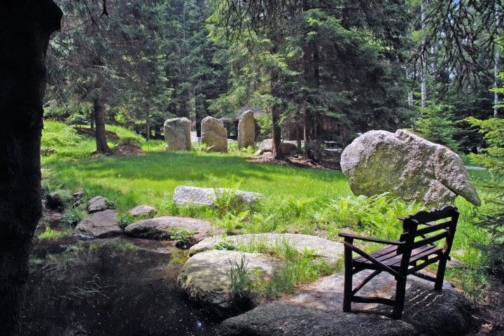 Garten mit Teich