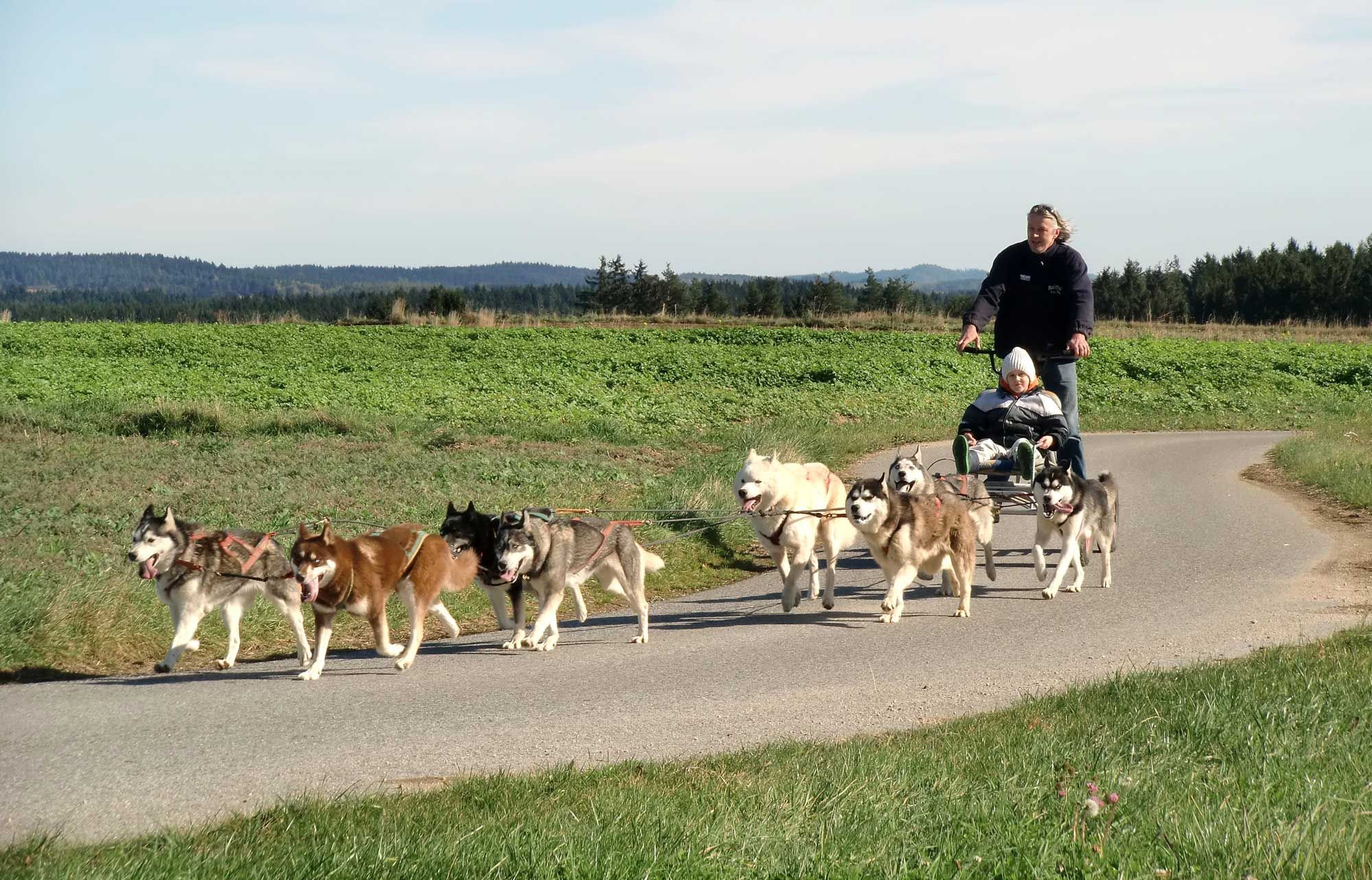 Huskyranch Waldviertel