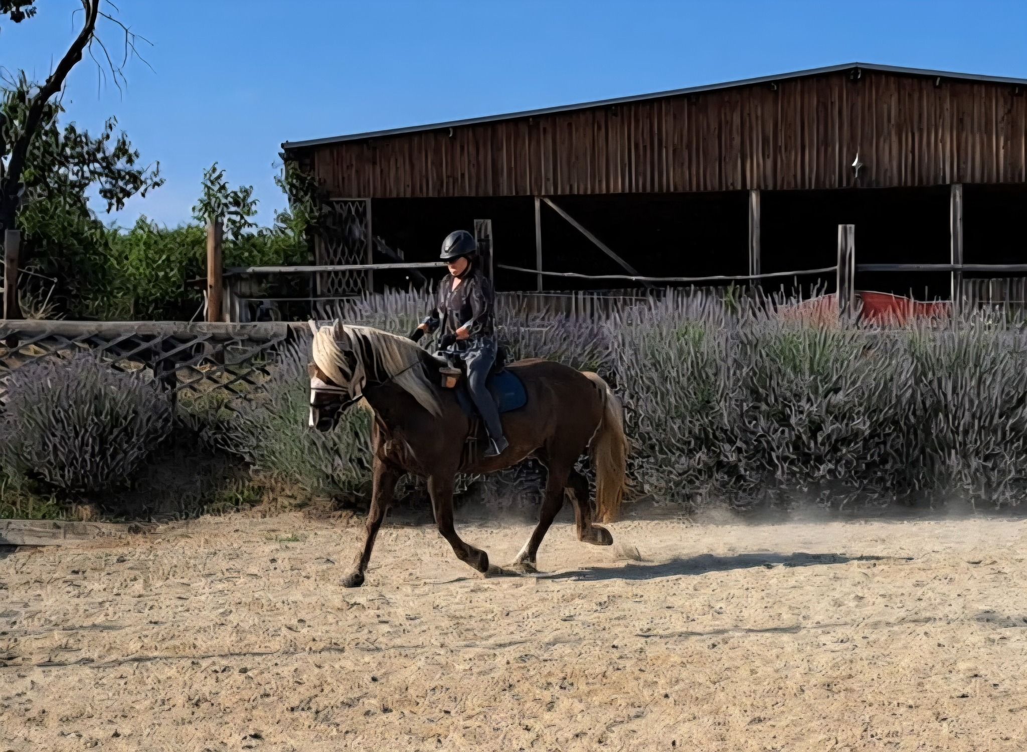 Eine Person reitet auf einem braunen Pferd vor einer Holzhütte auf einem Sandplatz.