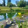 Schwimmteich, &copy; Ferienhaus Angel, Fotograf Heidi Angel