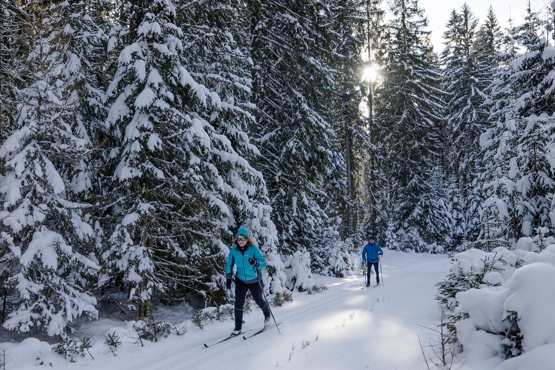 Zwei Personen beim Langlaufen durch einen verschneiten Wald.