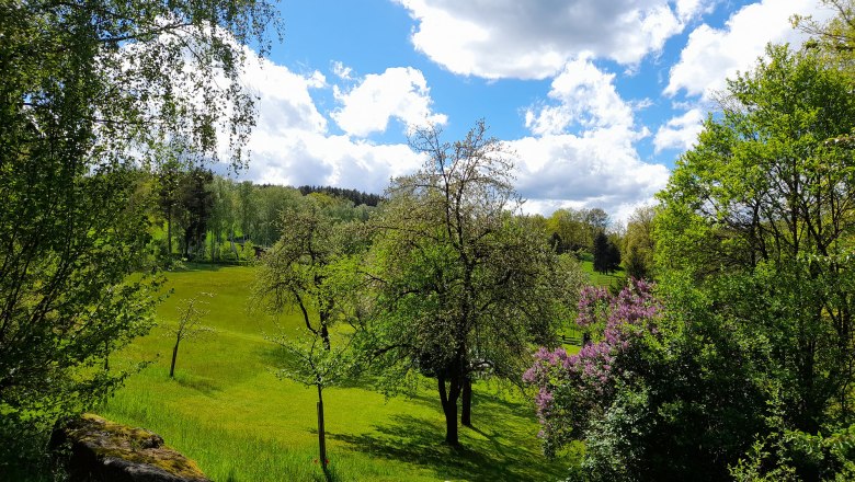 Hauswiese Flieder, &copy; Ferienhaus Angel, Fotograf Heidi Angel