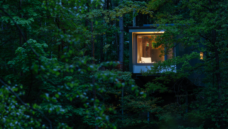 Ein beleuchtetes Baumhaus in einem dichten Wald bei D&auml;mmerung.